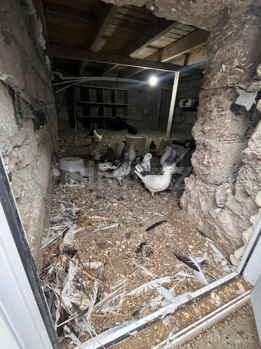 Satılır 3 otaqlı həyət evi/bağ evi 200 m², Məmmədli q., photo 17 from 28