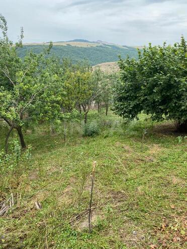 Satılır 3 otaqlı həyət evi/bağ evi 80 m², photo 9 from 10