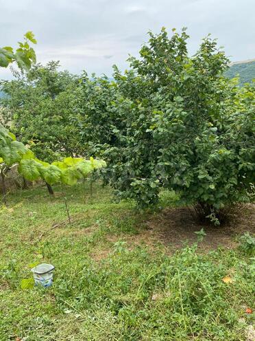 Satılır 3 otaqlı həyət evi/bağ evi 80 m², photo 8 from 10