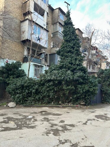 Satılır 2 otaqlı köhnə tikili 55 m², Nəriman Nərimanov m., photo 17 from 19