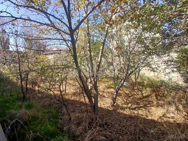 Продаётся 5-комн. дом/дача 300 м², пос. Новханы, photo 7 from 17