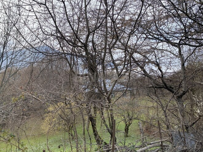 Satılır 3 otaqlı həyət evi/bağ evi 80 m², photo 4 from 22