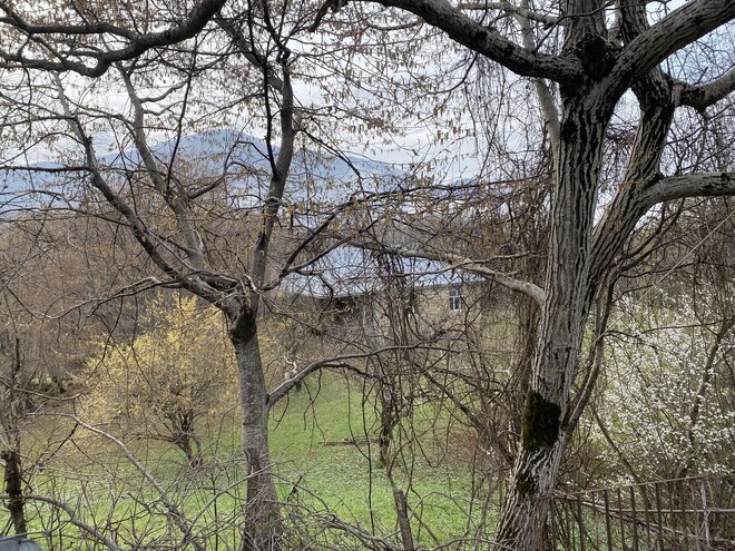 Satılır 3 otaqlı həyət evi/bağ evi 80 m², photo 5 from 22