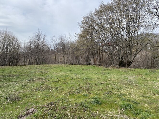 Satılır 3 otaqlı həyət evi/bağ evi 80 m², photo 14 from 22