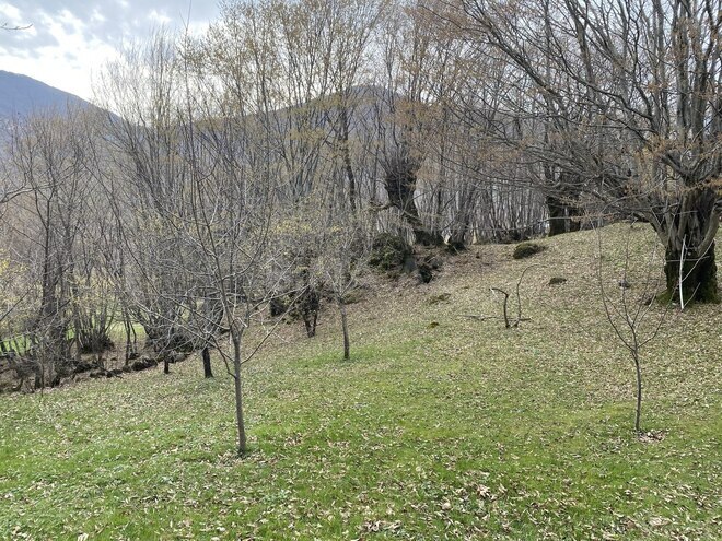 Satılır 3 otaqlı həyət evi/bağ evi 80 m², photo 18 from 22