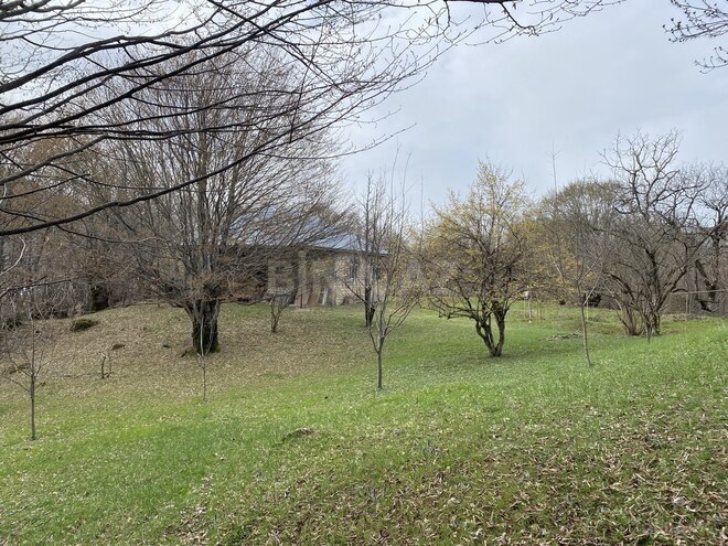 Satılır 3 otaqlı həyət evi/bağ evi 80 m², photo 21 from 22