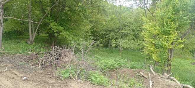 Satılır  torpaq 30 sot, photo 7 from 10