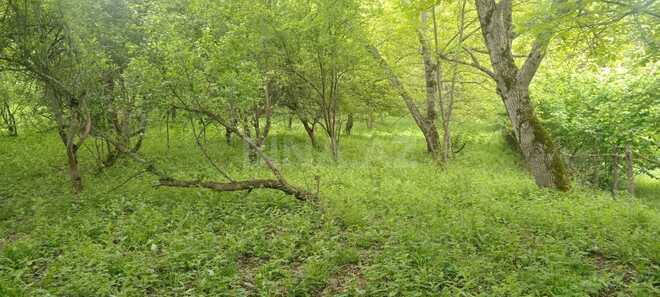 Satılır  torpaq 30 sot, photo 6 from 10