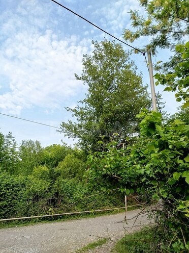 Продаётся  участок 37 сот, photo 4 from 11