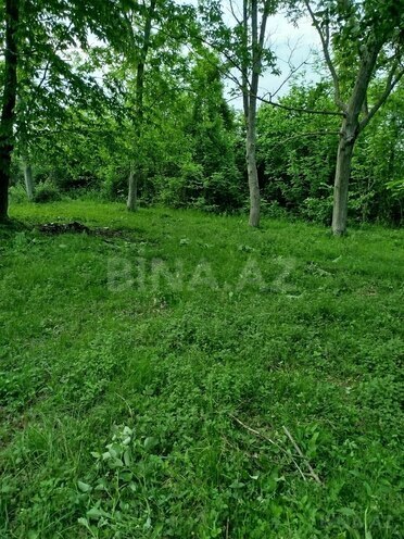 Продаётся  участок 37 сот, photo 9 from 11