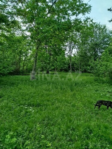 Продаётся  участок 37 сот, photo 8 from 11