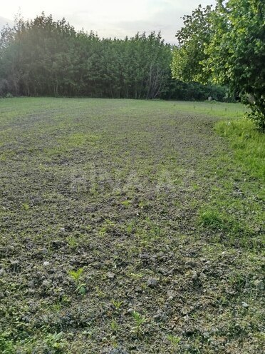 Продаётся  участок 37 сот, photo 5 from 11