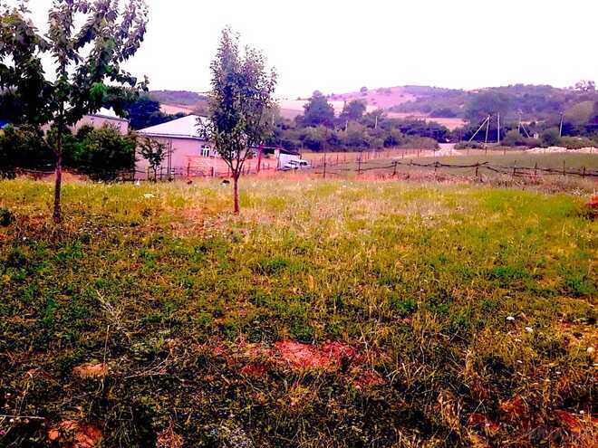 Satılır  torpaq 10 sot, photo 11 from 15