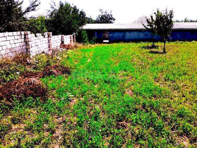 Satılır  torpaq 10 sot, photo 12 from 15