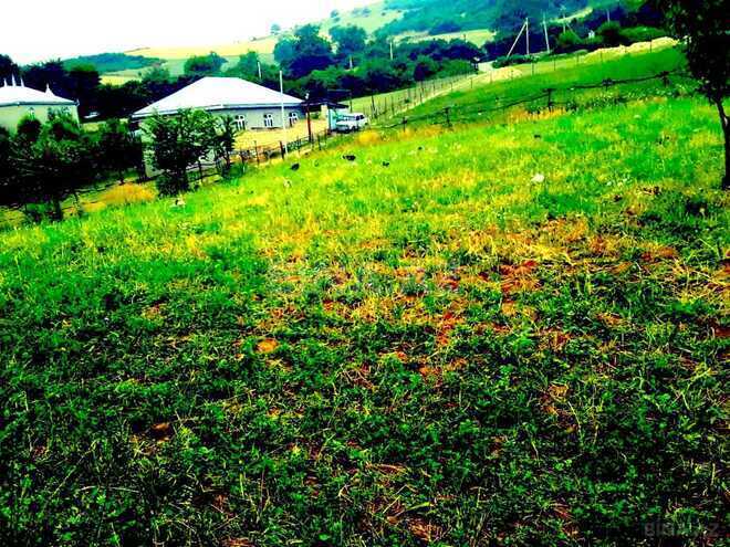 Satılır  torpaq 10 sot, photo 14 from 15