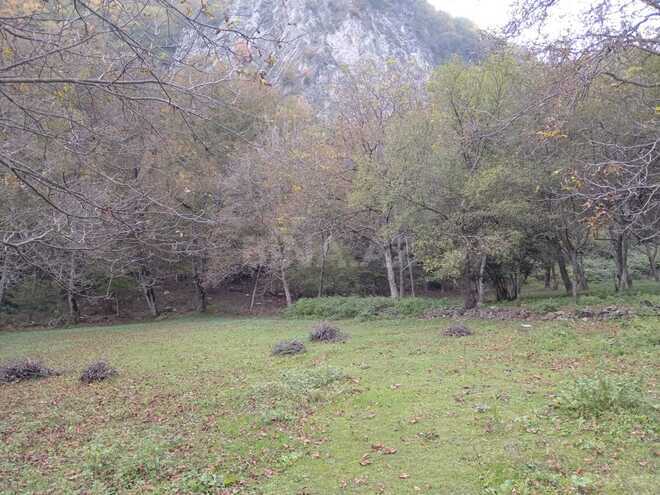 Satılır  torpaq 11 sot, photo 5 from 7