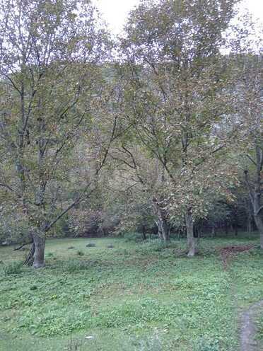 Satılır  torpaq 11 sot, photo 4 from 7