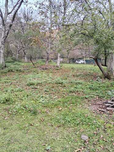 Satılır  torpaq 11 sot, photo 3 from 7