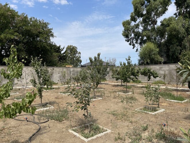 Satılır 5 otaqlı həyət evi/bağ evi 200 m², Görədil q., photo 28 from 29