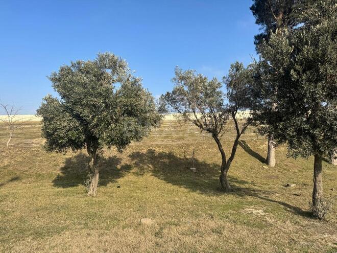 Продаётся  участок 43 сот, м. Автовокзал, photo 3 from 9