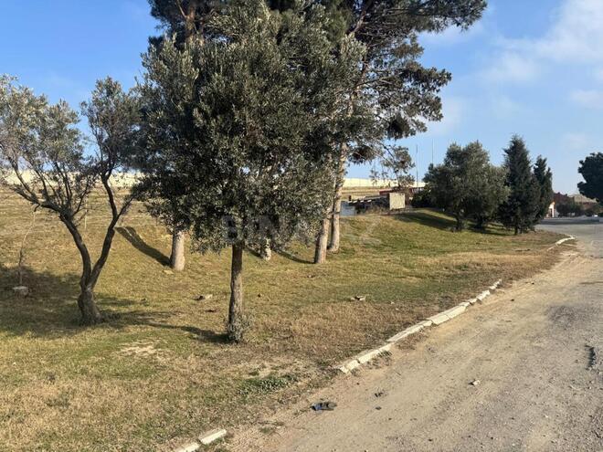 Продаётся  участок 43 сот, м. Автовокзал, photo 5 from 9