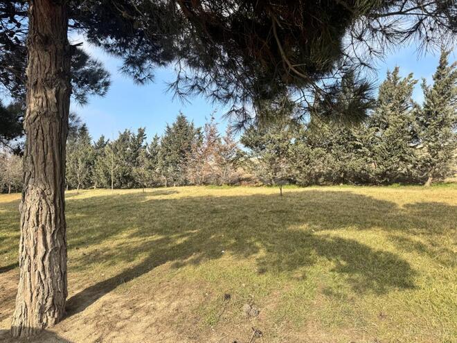 Satılır  torpaq 30 sot, Avtovağzal m., photo 9 from 10