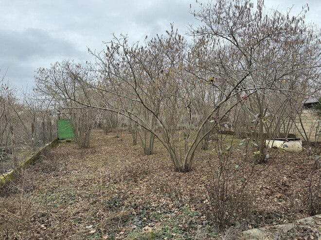 Satılır 4 otaqlı həyət evi/bağ evi 170 m², photo 5 from 12