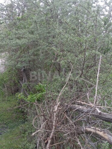 Продаётся  участок 23 сот, photo 3 from 7