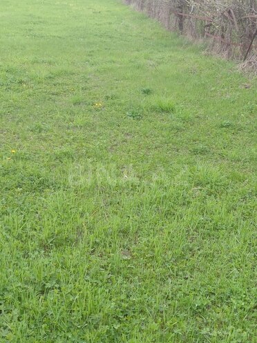 Продаётся  участок 23 сот, photo 6 from 7