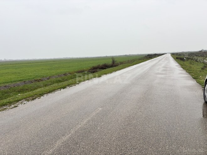 Продаётся  участок 300 сот, Хачмазский р., photo 3 from 5