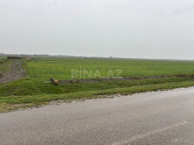 Продаётся  участок 300 сот, Хачмазский р., photo 4 from 5