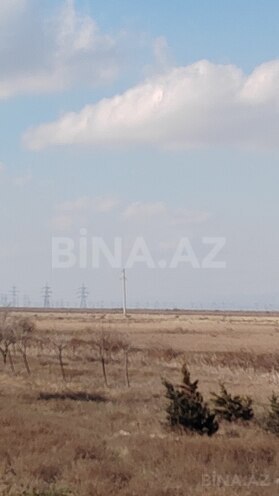 Продаётся  участок 360 сот, пос. Аляты, photo 3 from 4