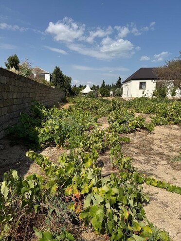 Satılır  torpaq 5 sot, Pirşağı q., photo 3 from 5