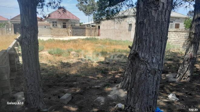 Продаётся  участок 5 сот, пос. Рамана, photo 5 from 6