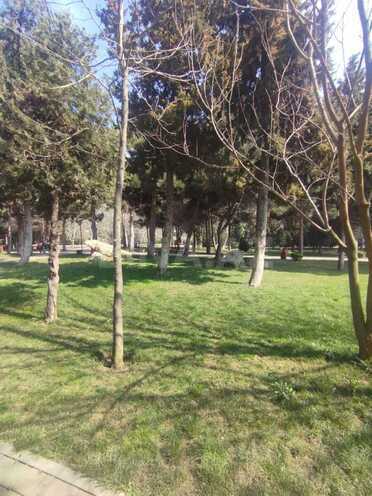 İcarəyə verilir 2 otaqlı köhnə tikili 50 m², Əhmədli m., photo 5 from 16