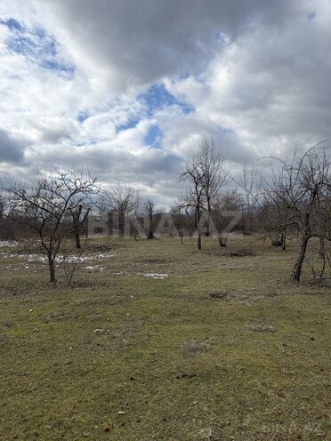 Продаётся  участок 57 сот, photo 7 from 13