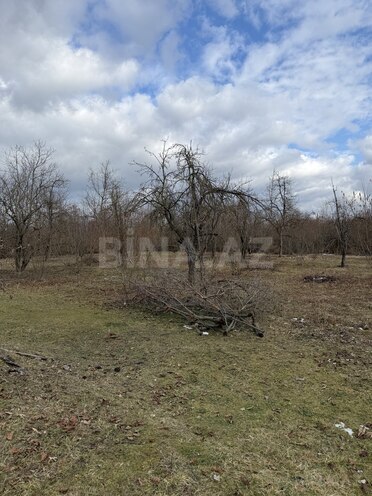 Продаётся  участок 57 сот, photo 9 from 13