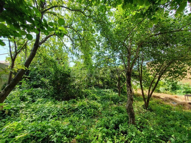 Satılır 5 otaqlı köhnə tikili 200 m², photo 9 from 15