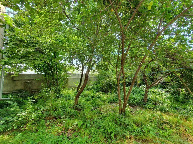 Satılır 5 otaqlı köhnə tikili 200 m², photo 8 from 15