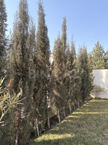 İcarəyə verilir 4 otaqlı həyət evi/bağ evi 120 m², Mərdəkan q., photo 7 from 32