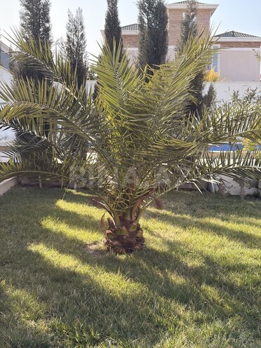 İcarəyə verilir 4 otaqlı həyət evi/bağ evi 120 m², Mərdəkan q., photo 12 from 32