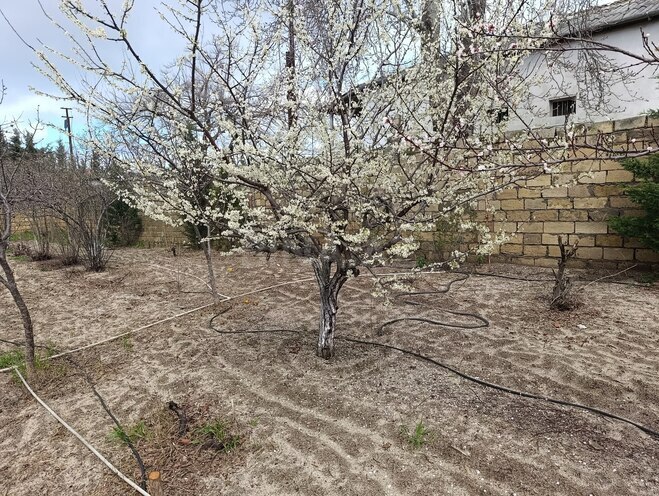 Продаётся 3-комн. дом/дача 100 м², пос. Новханы, photo 7 from 32