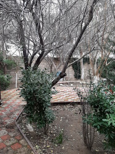 Продаётся 5-комн. дом/дача 150 м², пос. Тюркан, photo 16 from 17