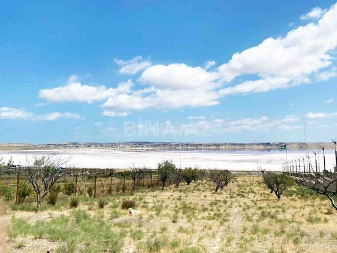 Продаётся  участок 48 сот, Абшеронcкий  р., photo 3 from 4