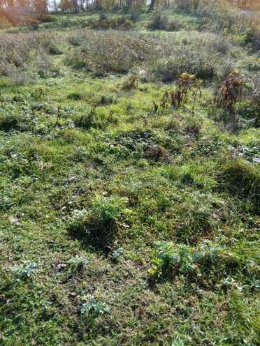 Продаётся  участок 14 сот, photo 3 from 5