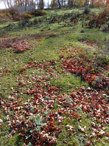 Продаётся  участок 14 сот, photo 4 from 5