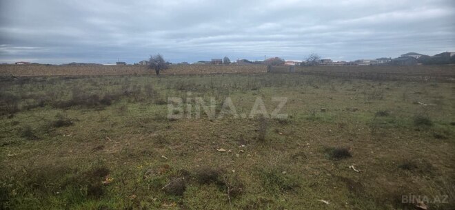 Продаётся  участок 50 сот, пос. Нардаран, photo 4 from 10