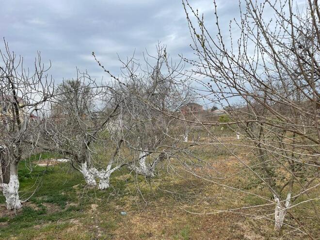 Продаётся 6-комн. дом/дача 180 м², пос. Сарай, photo 9 from 11