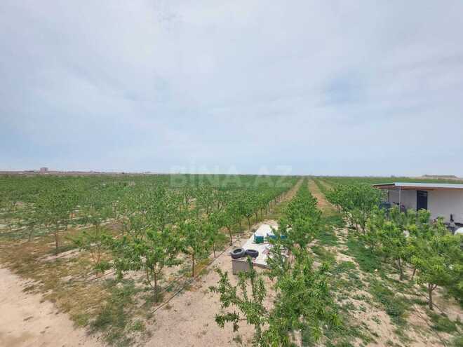 Satılır  torpaq 200 sot, Türkan q., photo 1 from 13