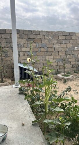 Satılır 3 otaqlı həyət evi/bağ evi 90 m², Qala q., photo 17 from 21